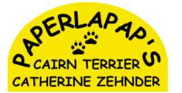 Paperlap Cairns Terriers
